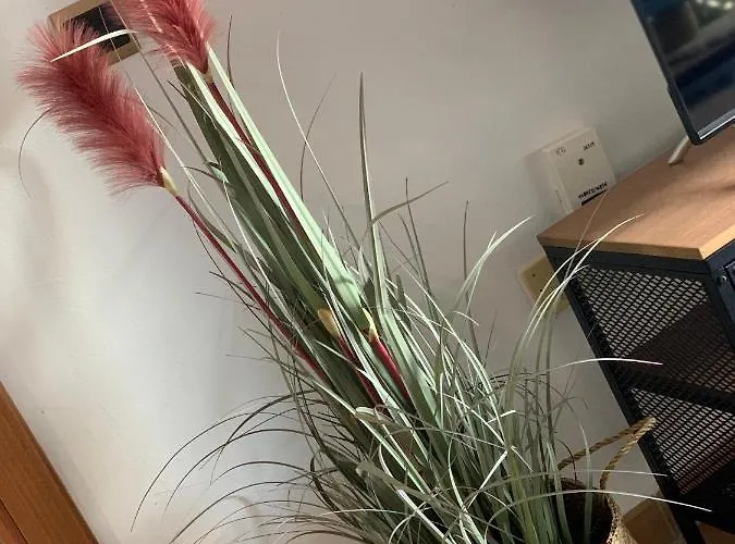 Casablanca Ii 아파트 아데제